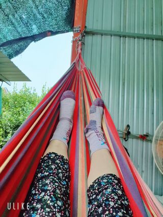 안젤로니아님의 자유주제 · 자유게시판 작성글 사진