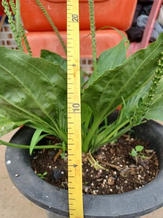 알 수 없음님의 기타작물 · 자유게시판 작성글 사진