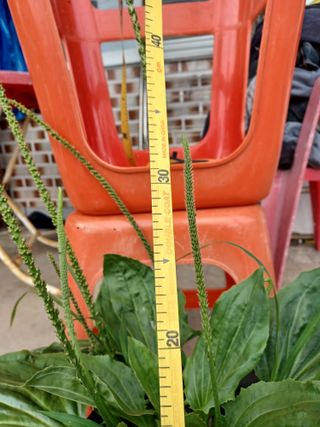 알 수 없음님의 기타작물 · 자유게시판 작성글 사진