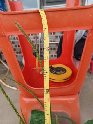 알 수 없음님의 기타작물 · 자유게시판 작성글 사진