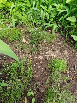 알 수 없음님의 기타작물 · 자유게시판 작성글 사진