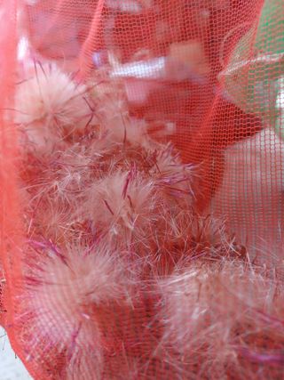 알 수 없음님의 기타작물 · 자유게시판 작성글 사진