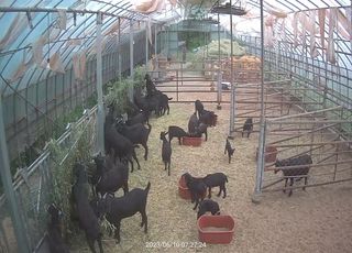 유광종님의 작성글 사진