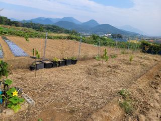 정전진 님의 자유주제 · 자유게시판 작성글 사진