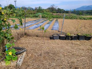 정전진 님의 자유주제 · 자유게시판 작성글 사진