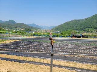 정전진 님의 자유주제 · 자유게시판 작성글 사진