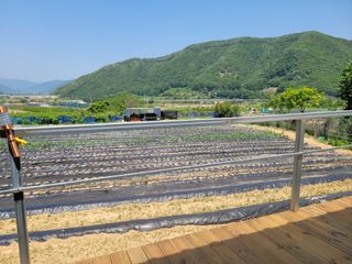 정전진 님의 자유주제 · 자유게시판 작성글 사진