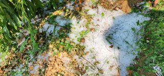 송곡손병국님의 자유주제 · 자유게시판 작성글 사진