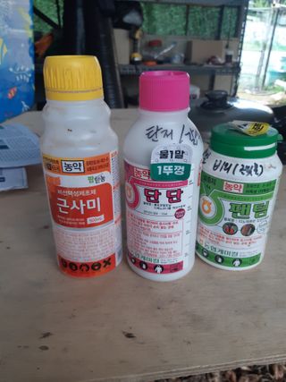 마도님의 농부님! 어떤 농약 쓰세요? · 참여 작성글 사진