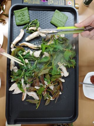 참죽나무 언덕님의 기타작물 · 자유게시판 작성글 사진