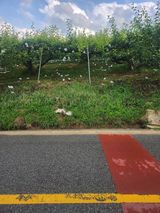 팜모닝 배·자연재해•동물피해 게시글 이미지