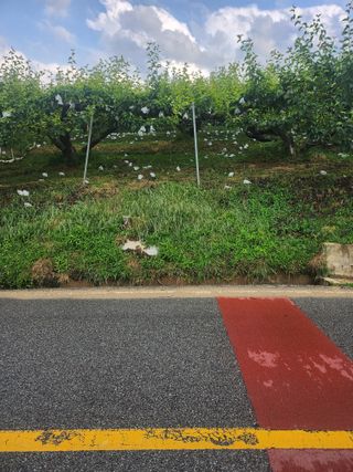 정우진님의 배·자연재해•동물피해 작성글 사진