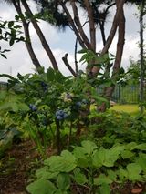 팜모닝 자유주제·자유게시판 게시글 이미지