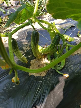 김건호님의 자유주제 · 자유게시판 작성글 사진