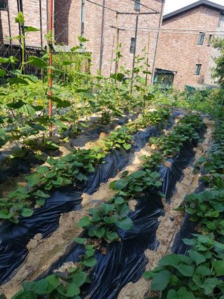 김건호님의 자유주제 · 자유게시판 작성글 사진