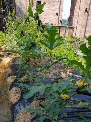 김건호님의 자유주제 · 자유게시판 작성글 사진