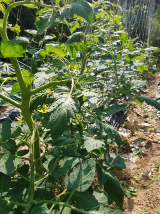 김건호님의 자유주제 · 자유게시판 작성글 사진