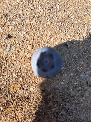 베리사랑득이농산님의 작성글 사진