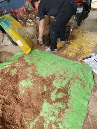 김종은님의 들깨 · 자유게시판 작성글 사진