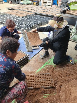 김종은님의 들깨 · 자유게시판 작성글 사진
