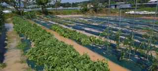 희망농부58님의 자유주제 · 자유게시판 작성글 사진