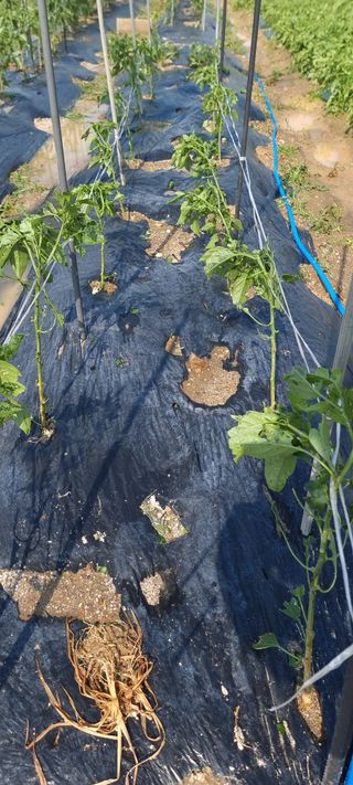 희망농부58님의 자유주제 · 자유게시판 작성글 사진