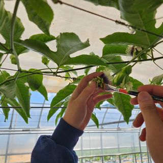 김영준님의 기타작물 · 자유게시판 작성글 사진