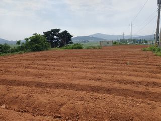 정종필님의 콩 · 자유게시판 작성글 사진