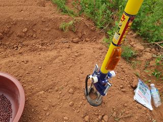 정종필님의 콩 · 자유게시판 작성글 사진