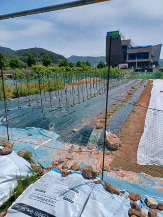 바웟돌님의 농부님! 어떤 농약 쓰세요? · 참여 작성글 사진
