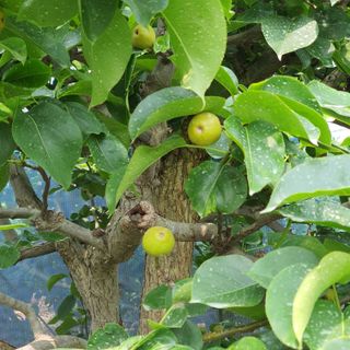 하나라도 소중하게님의 배 · 일상 작성글 사진