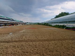 김진영님의 콩 · 자유게시판 작성글 사진