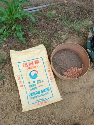 김진영님의 콩 · 자유게시판 작성글 사진