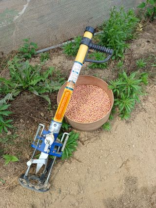 김진영님의 콩 · 자유게시판 작성글 사진