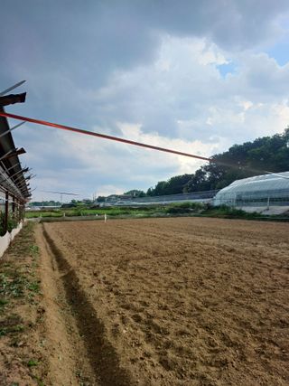 김진영님의 콩 · 자유게시판 작성글 사진