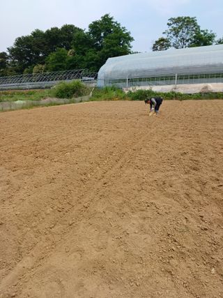 김진영님의 콩 · 자유게시판 작성글 사진
