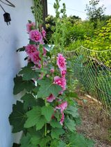 팜모닝 우리동네·동네자랑 게시글 이미지