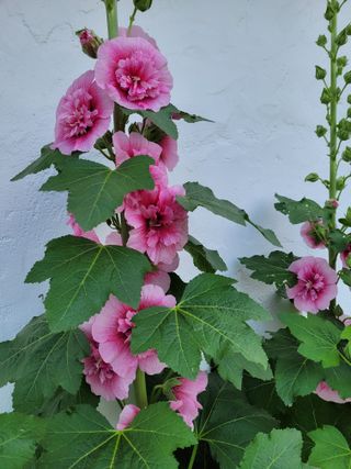 (어울림)님의 우리동네 · 동네자랑 작성글 사진