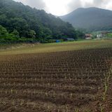 팜모닝 기타작물·자유게시판 게시글 이미지