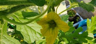 감11845님의 자유주제 · 자유게시판 작성글 사진