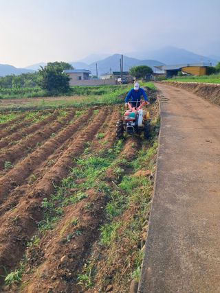 김기한님의 감자 · 자유게시판 작성글 사진