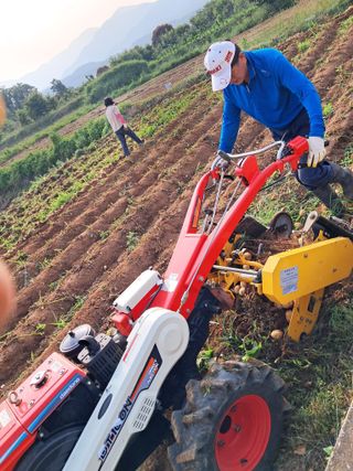 김기한님의 감자 · 자유게시판 작성글 사진