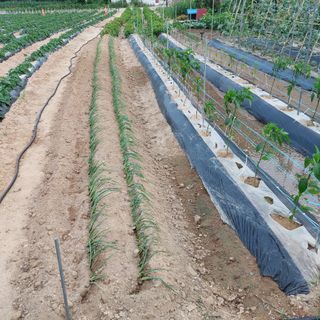 osm님의 우리동네 · 동네수다 작성글 사진