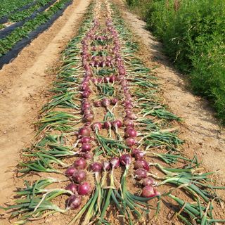 osm님의 우리동네 · 동네수다 작성글 사진