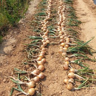 osm님의 우리동네 · 동네수다 작성글 사진