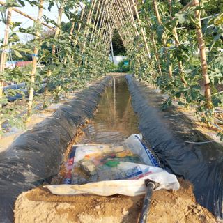 osm님의 우리동네 · 동네수다 작성글 사진