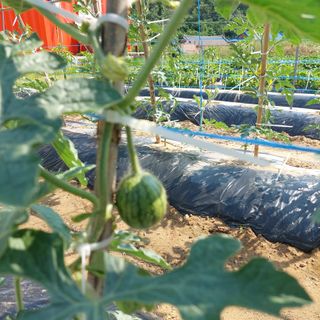 osm님의 우리동네 · 동네수다 작성글 사진