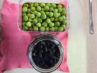 자연같이님의 기타작물 · 자유게시판 작성글 사진