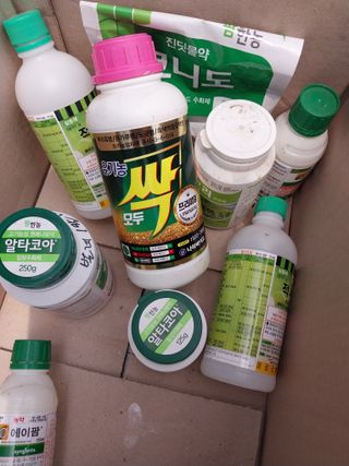 당진시 옥수수님의 농부님! 어떤 농약 쓰세요? · 참여 작성글 사진