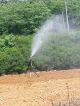 팜모닝 자유주제·자유게시판 게시글 이미지